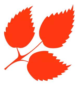 我是生态环境小卫士,我是海洋环保小卫士