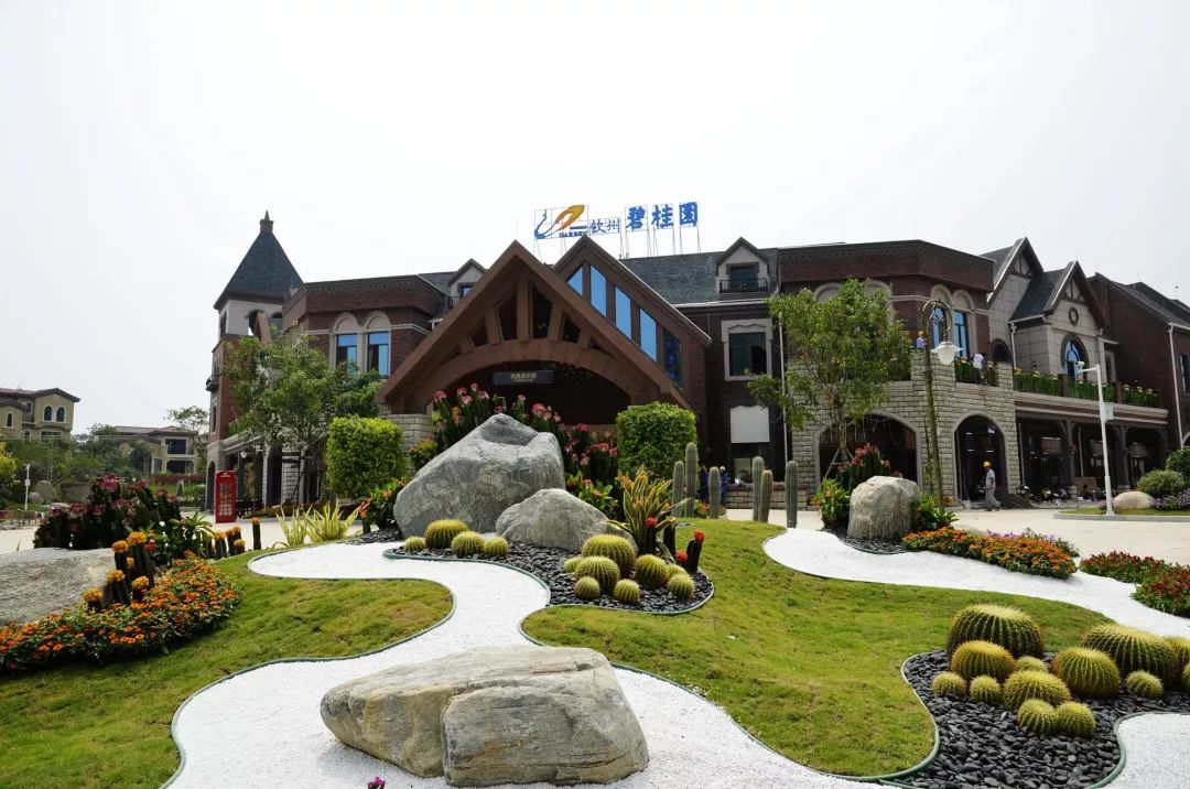 广西钦州碧桂园红树湾适合养老吗,广西钦州碧桂园红树湾值不值得买