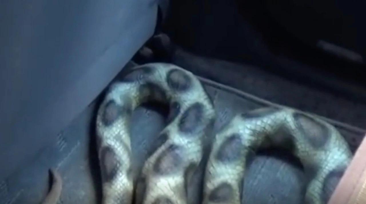 出租车贞子视频,贞子打车回家