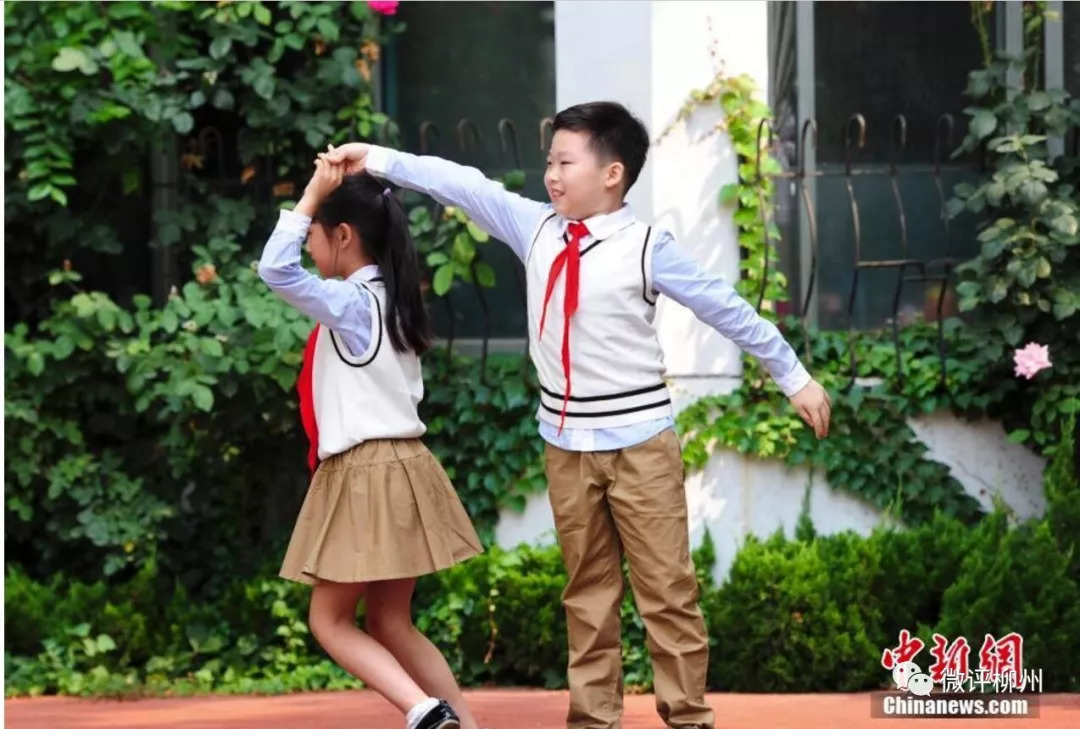 柳州市学校一览表,柳州新学校最新消息