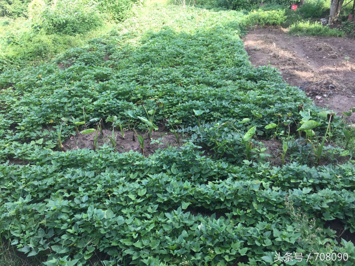 鼓山般若苑旅游攻略,鼓山般若苑网红景点