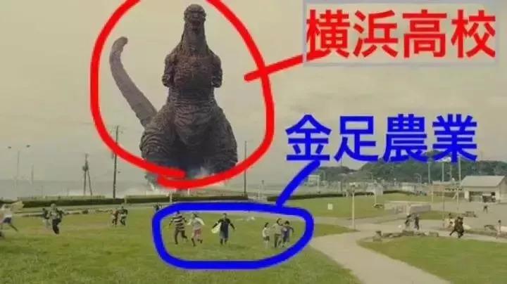 甲子园的少年,甲子园的哭泣