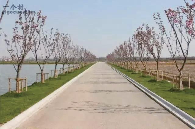 常州乡村别墅出售,常州乡下自建房出售