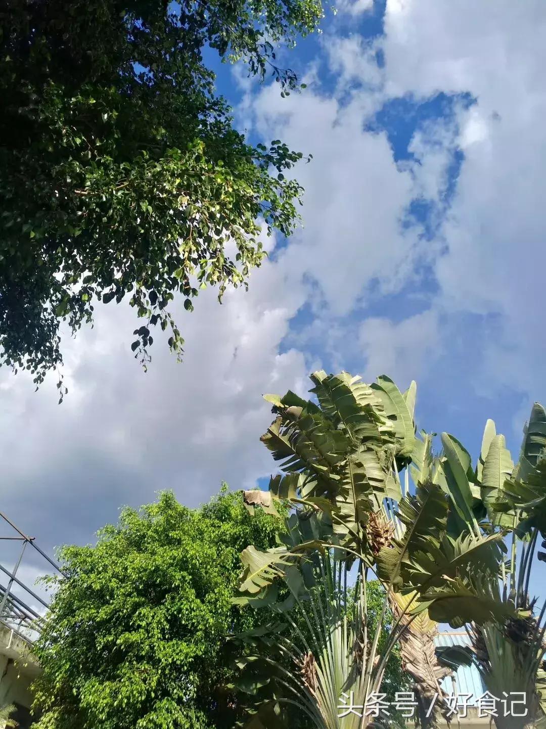 勐海县第一普洱茶,勐海茶厂最出名的茶