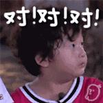 最近的一场国际拉力赛,这一届世界足球比赛在哪里举办