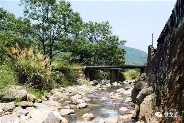 一亩养殖石斑鱼的利润是多少呢,养1万斤淡水石斑鱼盈利大概多少