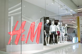 在保护组织的呼吁下多家快时尚品牌承诺不再使用马海毛