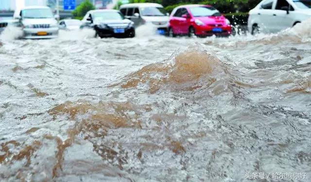 哈尔滨人这8条信息赶紧看,哈尔滨下大雨预警信号