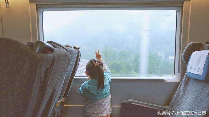 熊猫在成都的真实生活,熊猫总是睡觉