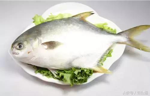 烟台市炫富,烟台人怎么炫富