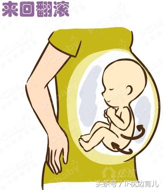 怀孕后怎么算预产期呢,怀孕后怎样计算怀孕周期