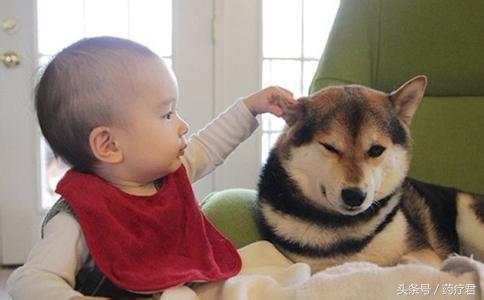 宝宝被狗抓伤要打狂犬疫苗吗,宝宝被家养狗抓破皮需要打疫苗吗