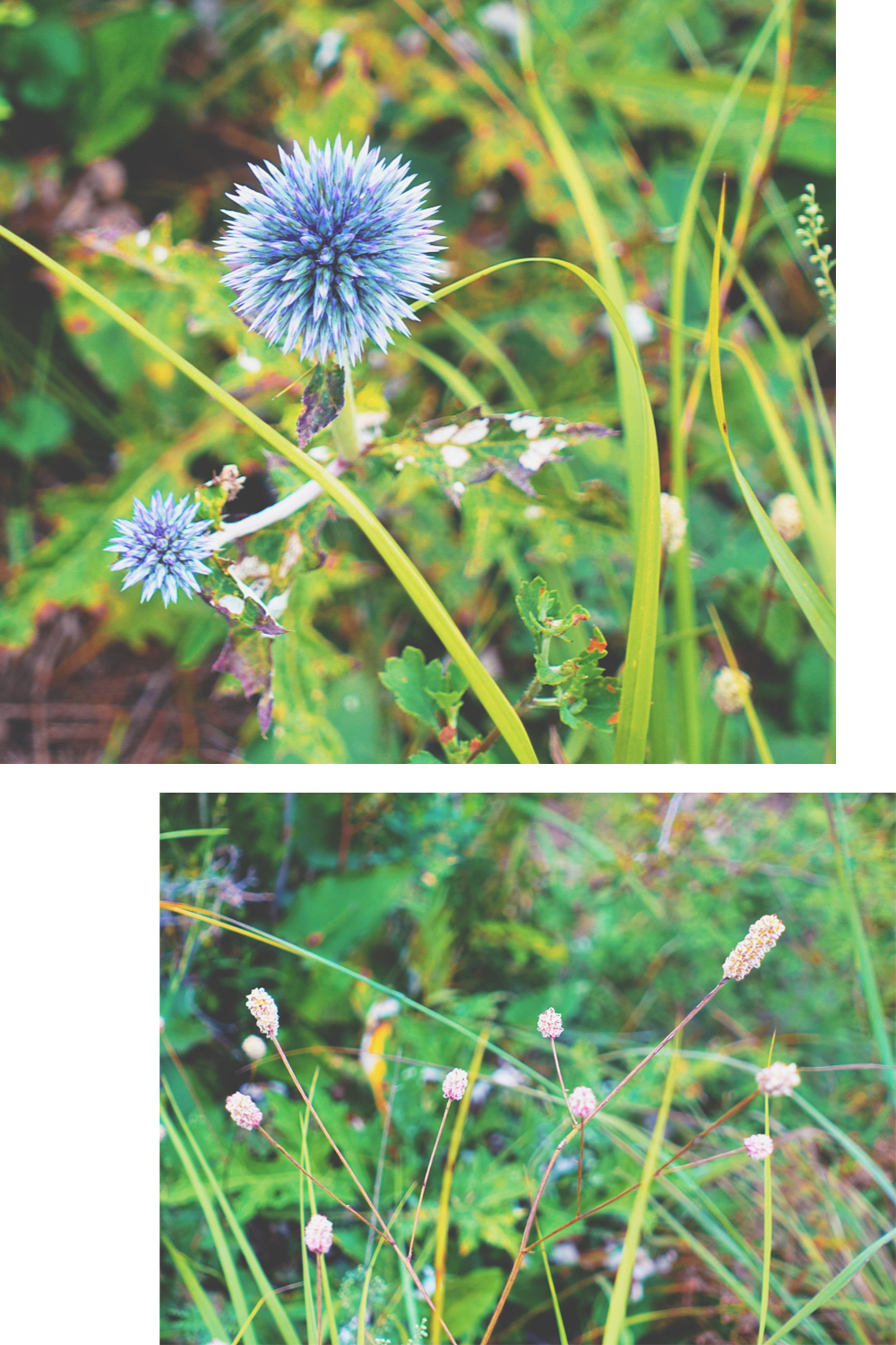 大森林里的小木屋秋雨后美成让人窒息云海小木屋离北京120公里