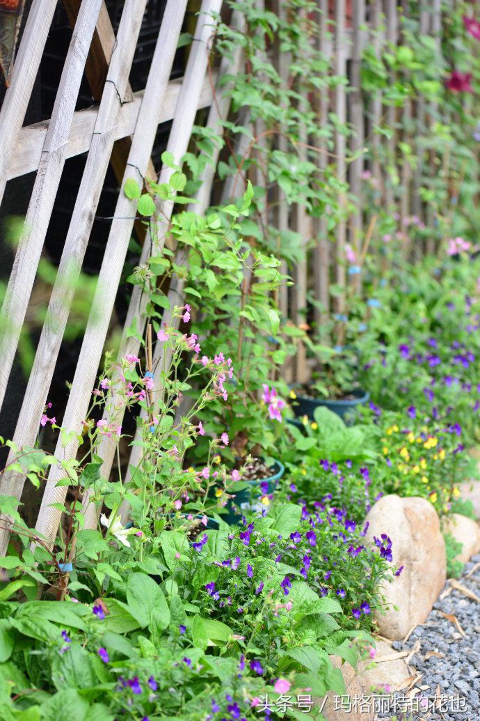 园丁修剪灌木,开满鲜花的小路教学设计一等奖