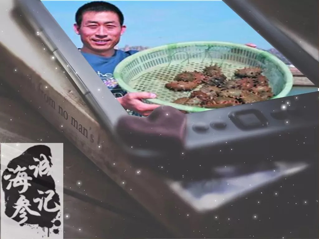 海参事件真相大揭秘,还原海参真相