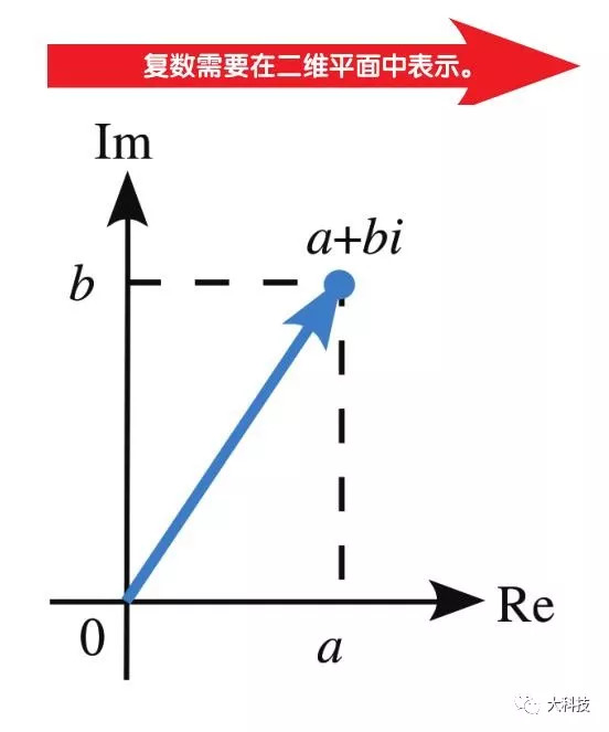 科学之谜严谨吗,科学之谜大揭秘