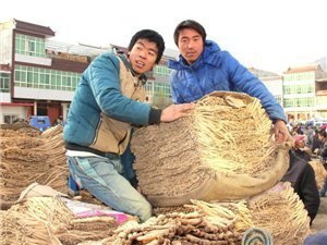 岷县花儿唱不完,岷县花儿赞歌
