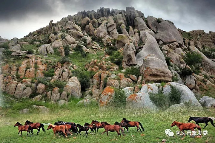 深入大自然、探索科学、了解历史!包头周边最适合带孩子去的景点都在这了……