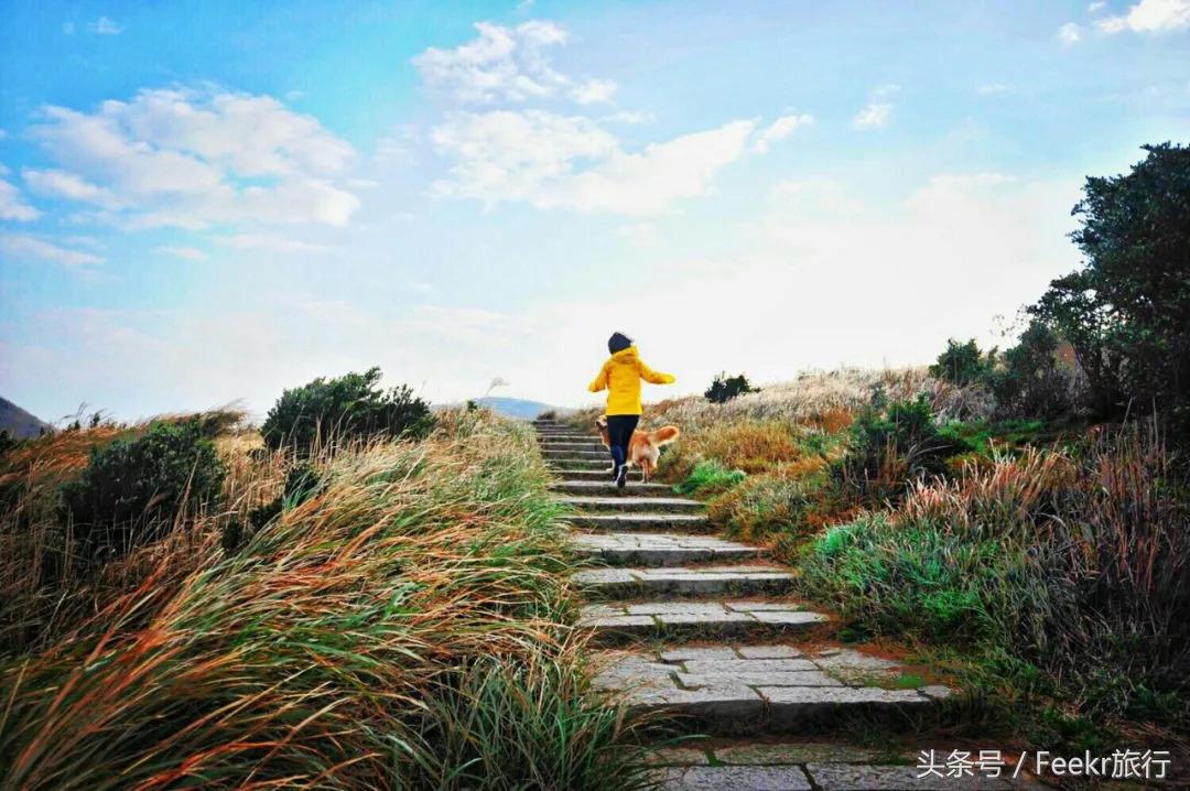 嵛山岛万亩草场,嵛山岛中国十大最美岛屿之一