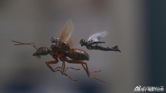 蚁人3片尾第二个彩蛋在哪里能看,蚁人2几个彩蛋