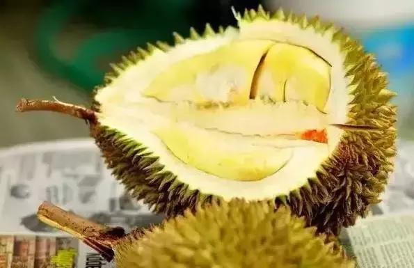 必须去沙巴的十个理由,去沙巴旅游的原因