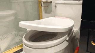 卫生间女用洗涤器,卫生间妇洗神器