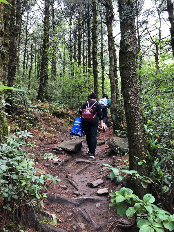 鑻嶅北鏅尯鍊煎緱鍘诲悧,鑻嶅北娓哥帺娉ㄦ剰浜嬮」