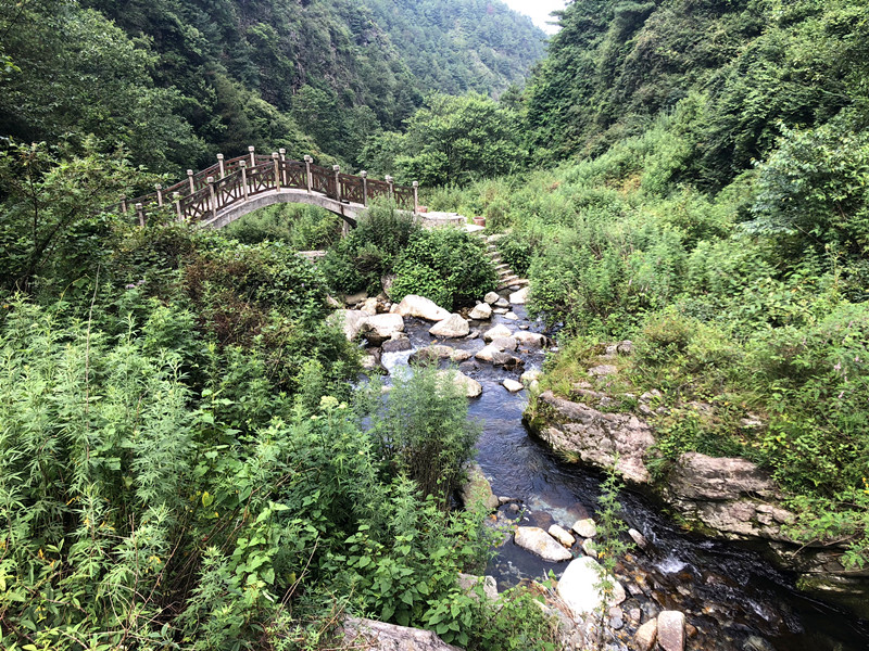鑻嶅北鏅尯鍊煎緱鍘诲悧,鑻嶅北娓哥帺娉ㄦ剰浜嬮」