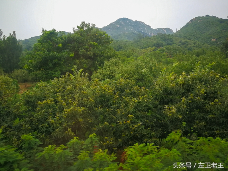 赤峰到北京的客车到北京哪个站,赤峰到北京火车途经站点