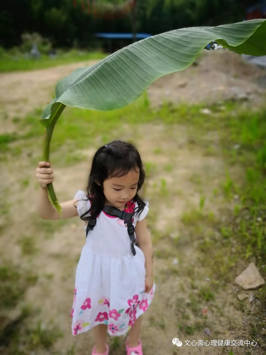四岁宝宝,还尿裤子,尿床,可能是这些原因
