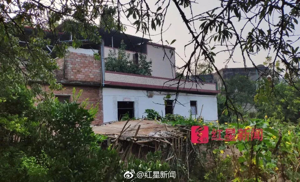 顺风车司机夺命事件,夺命顺风车司机