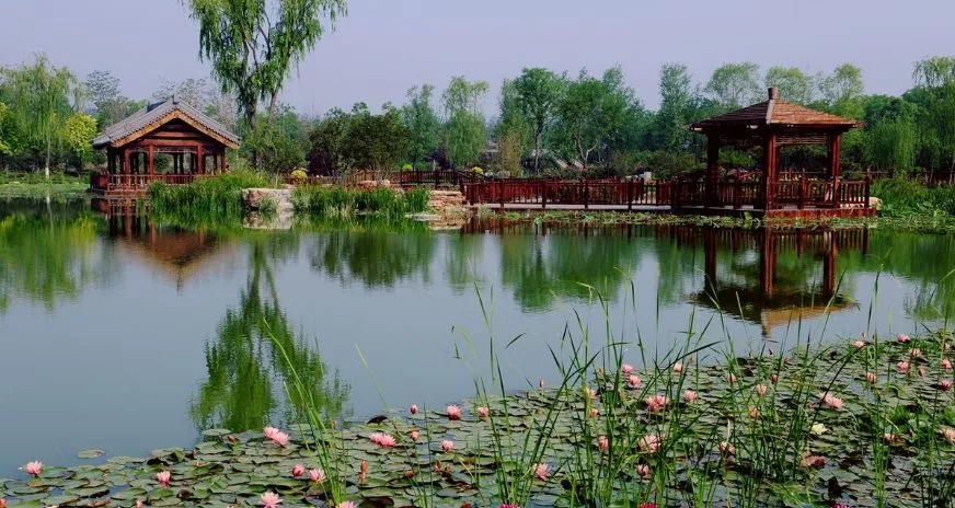 天津自然森林公园,天津最大的人造森林公园