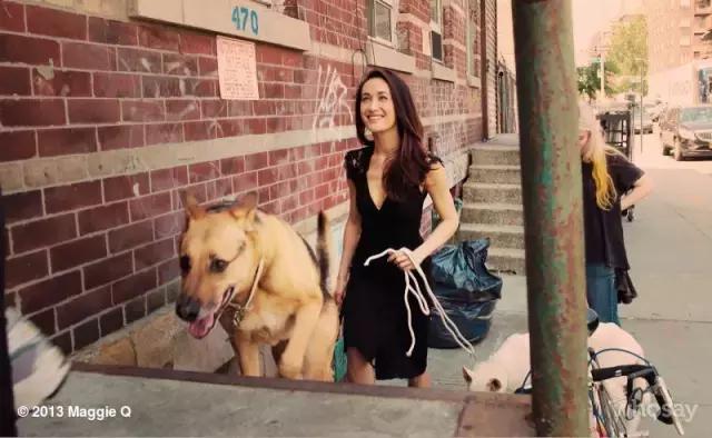 揭秘素食:那些漂亮的女孩们为何不馋肉?