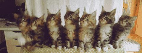 盘点网络中的搞笑段子笑死人系列,盘点那些爆笑网络的段子