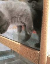 万名官兵参与山东灾后重建；想离就离？法律拟规定先冷静一个月；“女孩滴滴顺风车遇害案”嫌犯被批捕！