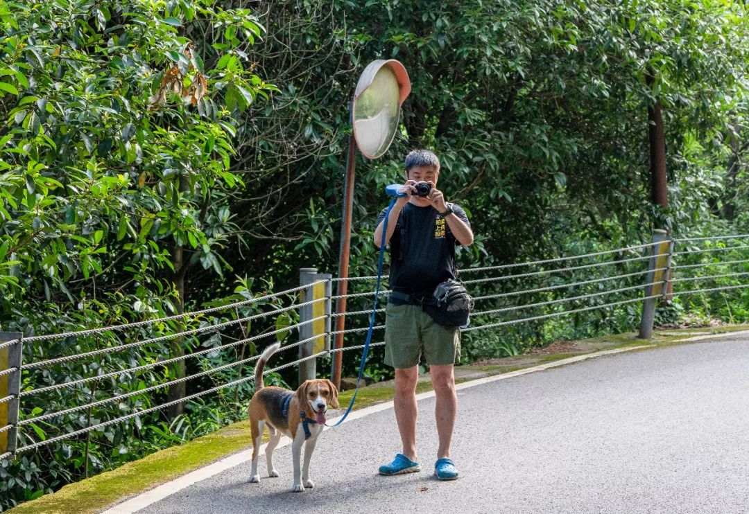 拍星空马小路三脚架推荐,马小路最新高端三脚架评测