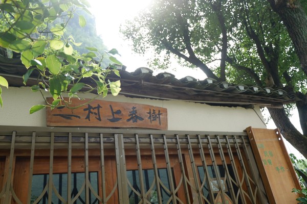 桂林阳朔无敌风景,阳朔龙头山水美如人间仙境