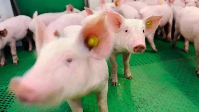 农业想要赚钱要学会降低成本,如何让农业既赚吆喝又赚钱