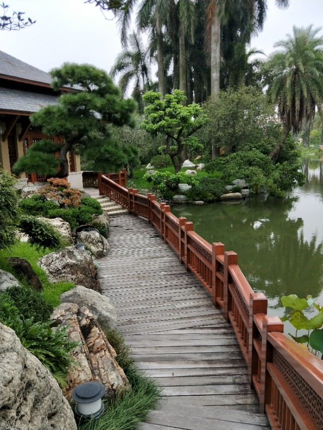 东成红木整装,东成红木的传说