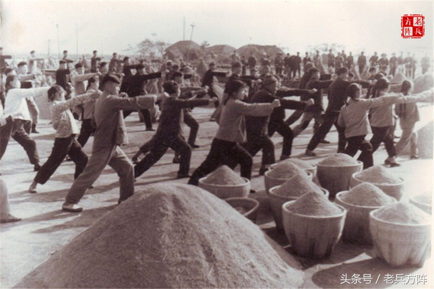 广播体操小学发展史,学生时代对广播体操的回忆