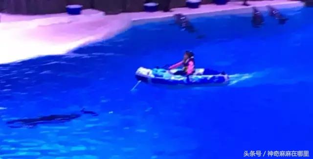 珠海长隆旅游攻略3天自由行,亲子游珠海长隆一日游攻略