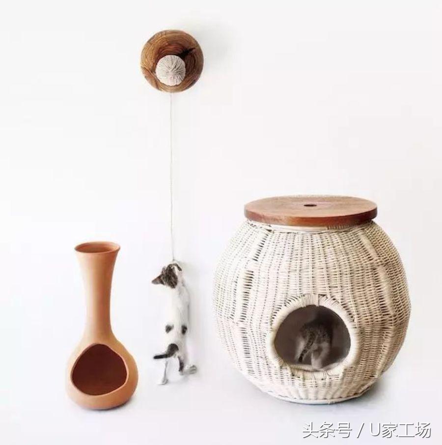 便宜又好用的猫窝有哪些,这六种猫窝你一定买过
