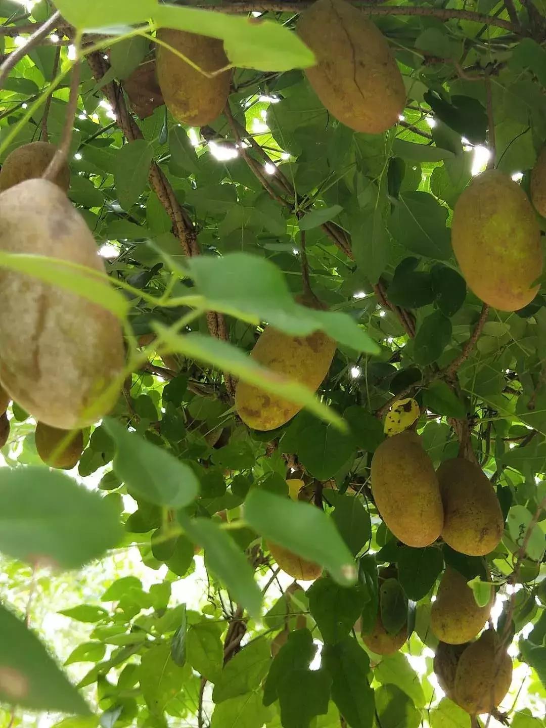 广德圣峰：如果你对田园生活向往已久，那么就请来这里吧！