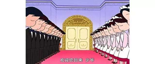 樱桃小丸子的同学花轮有多富有,樱桃小丸子里的花轮同学