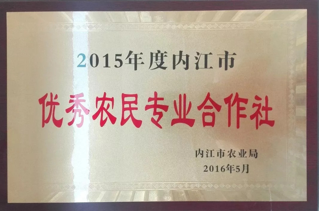 威远有一片神奇的土地，种出神奇的东西，据说吃了能长寿……