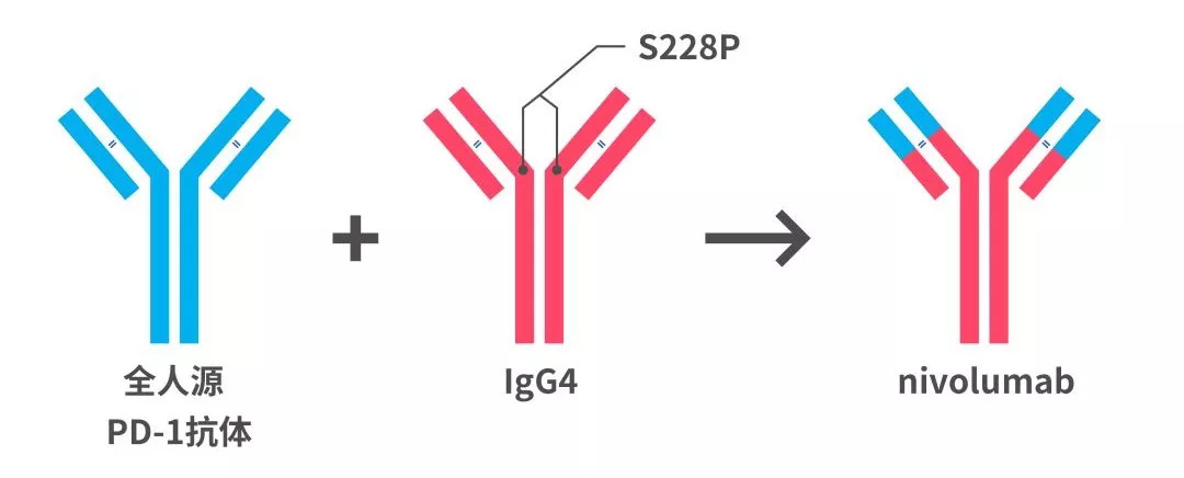 重磅首个国产新冠口服药获批上市,国产pd1免疫制剂什么时候上市