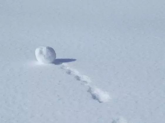 生活性常识必读,生活必备手册