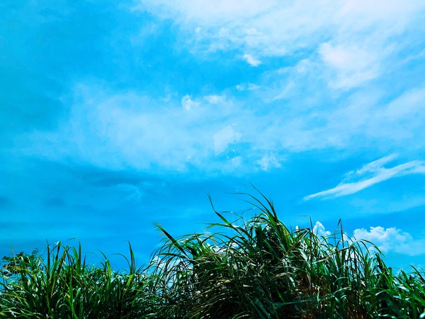 舟山东沙海滨浴场和南沙海滨浴场,追着太阳的脚步去台州