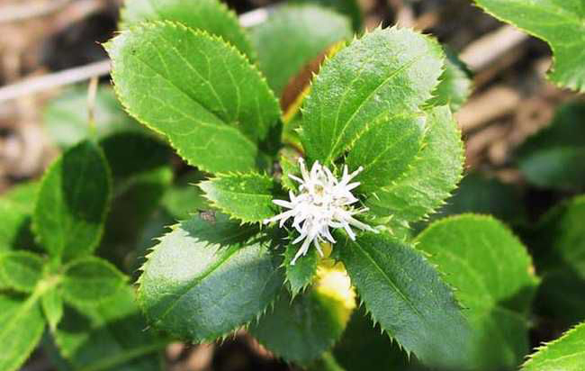 说文解字第222课,说文解字第297课