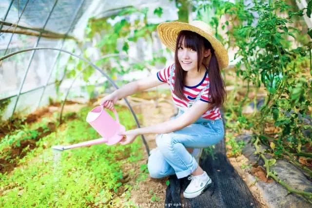 狗年犯太岁是哪几个生肖,狗年2021运势犯太岁怎么化解